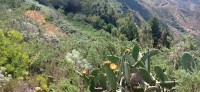 20220529_123953.jpg 20220529_123953.jpg