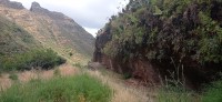 20220529_125124.jpg 20220529_125124.jpg