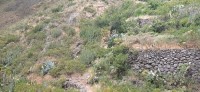20220529_130858.jpg 20220529_130858.jpg