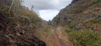 20220529_131806.jpg 20220529_131806.jpg