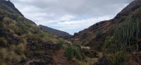 20220529_133451.jpg 20220529_133451.jpg