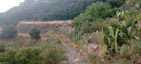 20220529_133715.jpg 20220529_133715.jpg