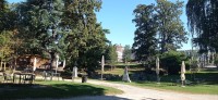 20220608_083157.jpg 20220608_083157.jpg