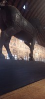 20220608_193718.jpg 20220608_193718.jpg