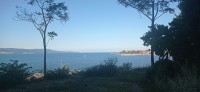20220619_185444.jpg 20220619_185444.jpg