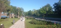 20220619_185505.jpg 20220619_185505.jpg