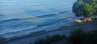20220619_190855.jpg 20220619_190855.jpg