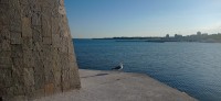 20220619_192044.jpg 20220619_192044.jpg