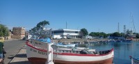 20220620_171540.jpg 20220620_171540.jpg