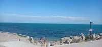 20220620_172628.jpg 20220620_172628.jpg