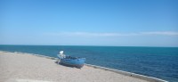 20220620_172634.jpg 20220620_172634.jpg