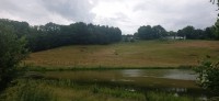 20220627_080724.jpg 20220627_080724.jpg