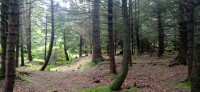 20220721_114419.jpg 20220721_114419.jpg