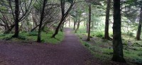 20220721_114431.jpg 20220721_114431.jpg
