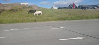 20220721_173346.jpg 20220721_173346.jpg