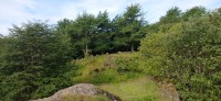 20220722_093209.jpg 20220722_093209.jpg