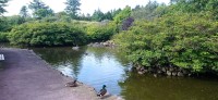 20220722_093240.jpg 20220722_093240.jpg
