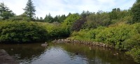 20220722_093245.jpg 20220722_093245.jpg