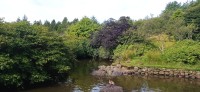 20220722_093252.jpg 20220722_093252.jpg