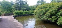 20220722_093254.jpg 20220722_093254.jpg