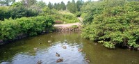 20220722_093305.jpg 20220722_093305.jpg