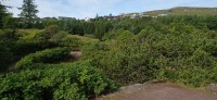 20220722_093344.jpg 20220722_093344.jpg