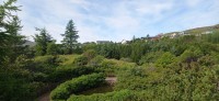 20220722_093409.jpg 20220722_093409.jpg