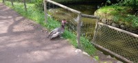 20220722_093459.jpg 20220722_093459.jpg