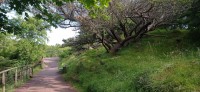 20220722_093516.jpg 20220722_093516.jpg