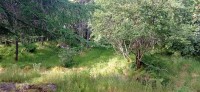 20220722_093522.jpg 20220722_093522.jpg