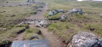 20220722_110037.jpg 20220722_110037.jpg