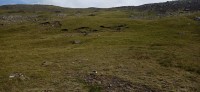 20220722_113006.jpg 20220722_113006.jpg