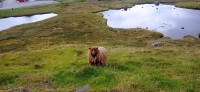 20220722_182309.jpg 20220722_182309.jpg