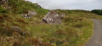 20220723_095007.jpg 20220723_095007.jpg
