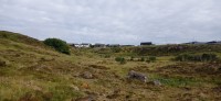 20220723_095034.jpg 20220723_095034.jpg