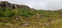 20220723_095037.jpg 20220723_095037.jpg