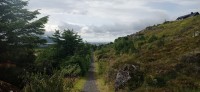 20220723_095934.jpg 20220723_095934.jpg