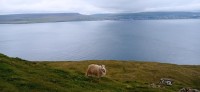 20220723_131915.jpg 20220723_131915.jpg