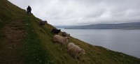 20220723_131942.jpg 20220723_131942.jpg