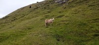 20220723_145751.jpg 20220723_145751.jpg