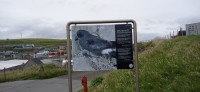 20220723_162453.jpg 20220723_162453.jpg