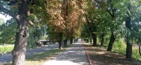 20220729_091716.jpg 20220729_091716.jpg