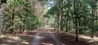20220729_101409.jpg 20220729_101409.jpg