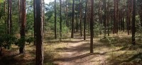 20220729_101929.jpg 20220729_101929.jpg