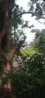 20220730_100951.jpg 20220730_100951.jpg