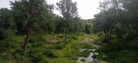 20220730_101343.jpg 20220730_101343.jpg