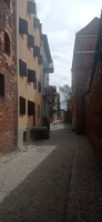 20220730_102842.jpg 20220730_102842.jpg