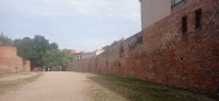 20220730_103722.jpg 20220730_103722.jpg