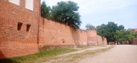 20220730_103724.jpg 20220730_103724.jpg