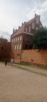 20220730_103800.jpg 20220730_103800.jpg